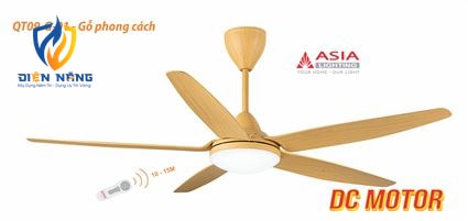 Quạt trần cao cấp QT09-G-01 - Gỗ phong cách - anh 2