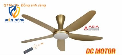 Quạt trần đèn cao cấp QT10-DV-01 - Đồng ánh vàng - anh 2