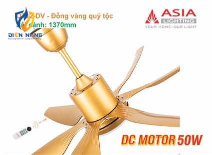 Quạt trần đèn cao cấp 6 cánh - sải cánh 1370 - QT12-DV-01 - Đồng vàng quý tộc - anh 9