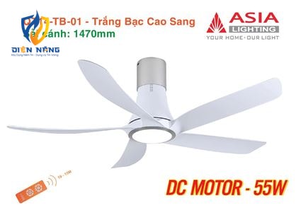Quạt trần đèn cao cấp 05 cánh QT14 - Trắng bạc cao sang - anh 11