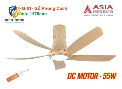 Quạt trần đèn cao cấp 05 cánh QT14 - Gỗ phong cách - anh 11