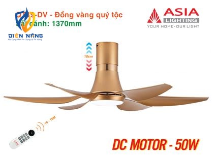 Quạt trần đèn cao cấp 6 cánh - sải cánh 1370 - QT19-T-01 - Đồng vàng quý tộc - anh 7