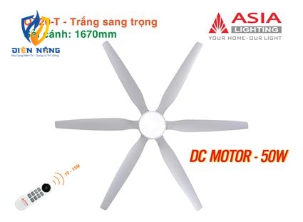 Quạt trần đèn cao cấp 6 cánh - sải cánh 1670 - QT20-T-01 - Trắng sang trọng - anh 11