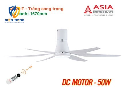 Quạt trần đèn cao cấp 6 cánh - sải cánh 1670 - QT20-T-01 - Trắng sang trọng - anh 9