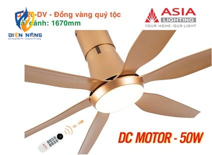 Quạt trần đèn cao cấp 6 cánh - sải cánh 1670 - QT20-DV-01 - Đồng vàng quý tộc - anh 8