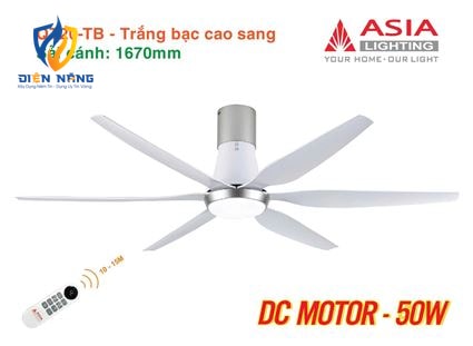 Quạt trần đèn cao cấp 6 cánh - sải cánh 1670 - QT20-TB-01 - Trắng bạc cao sang - anh 11
