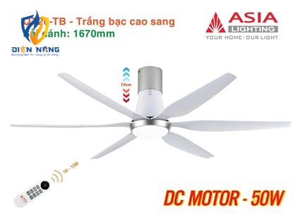 Quạt trần đèn cao cấp 6 cánh - sải cánh 1670 - QT20-TB-01 - Trắng bạc cao sang - anh 7