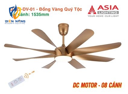 Quạt trần đèn cao cấp 08 cánh - QT22 - Đồng vàng quý tộc - anh 11