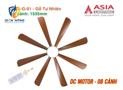 Quạt trần đèn cao cấp 08 cánh - QT22 - Gỗ tự nhiên - anh 8
