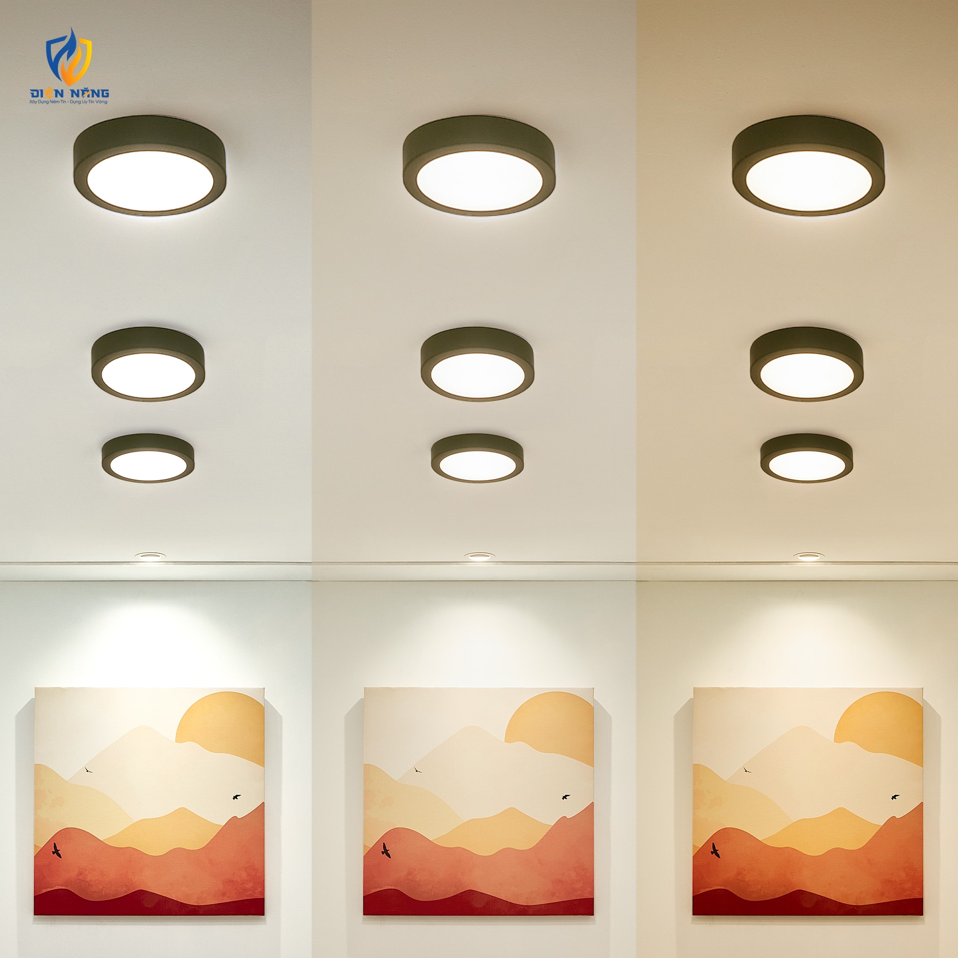 Đèn Panel LED đen, tròn 6W đổi màu - anh 5
